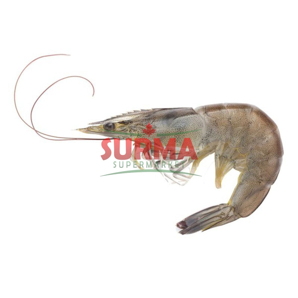 Fresh Shrimp 1Lb