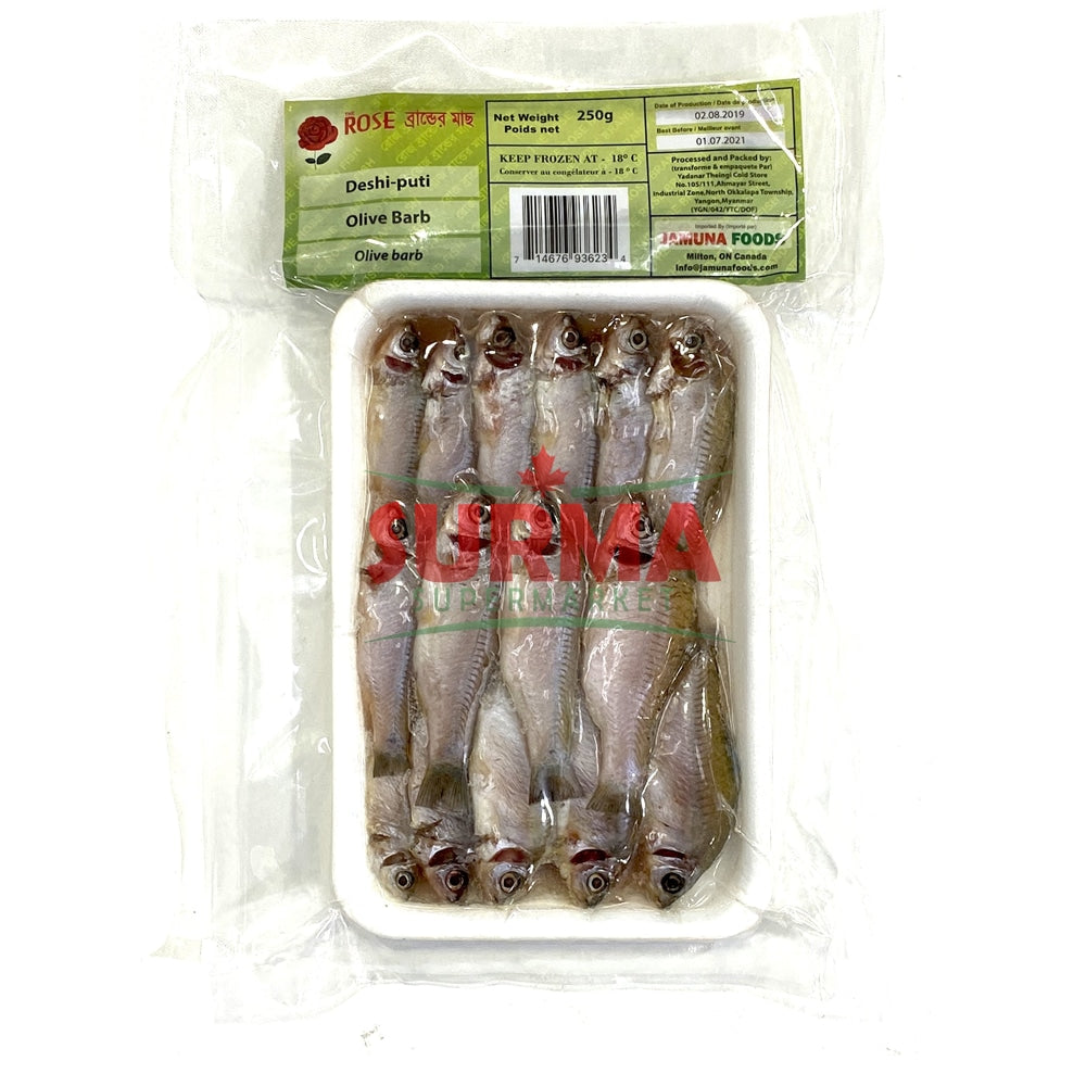 Frozen Deshi Puti Whole 250G 2-Pack Block Fish