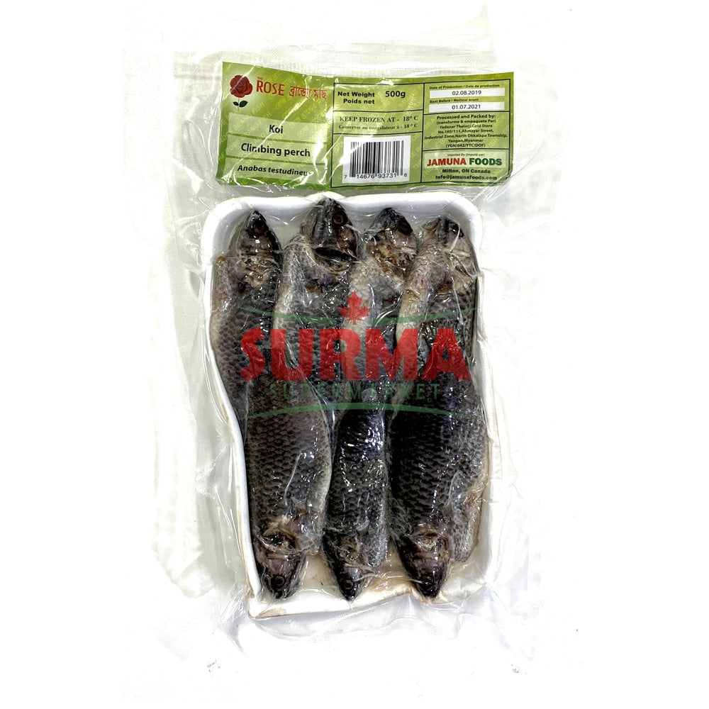 Frozen Koi Whole 500G Wholefish