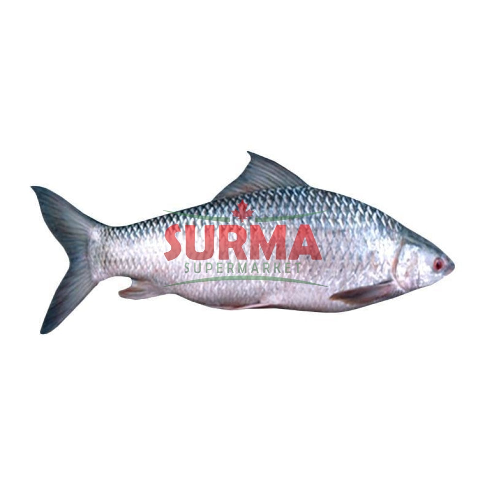 Mrigal Fish Whole Frozen Wholefish