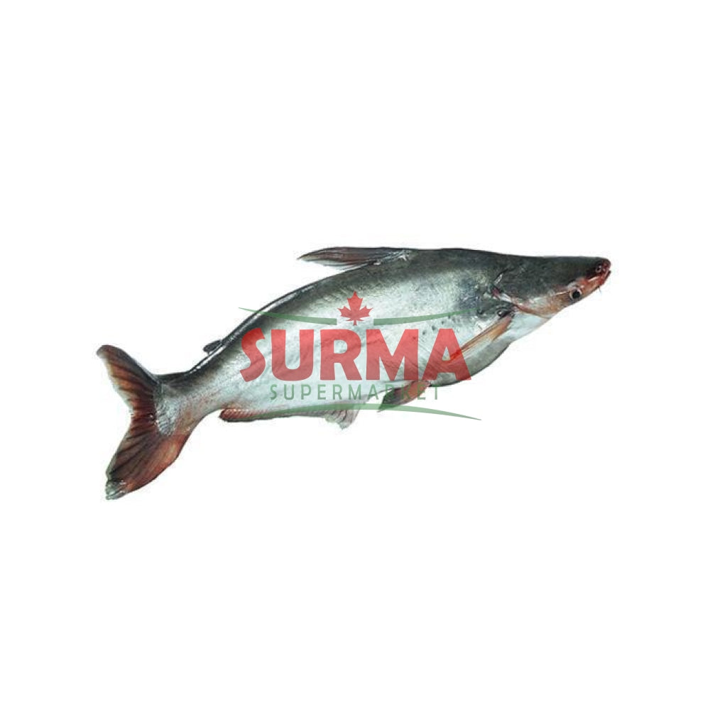 Pangash Fish Whole Frozen Wholefish