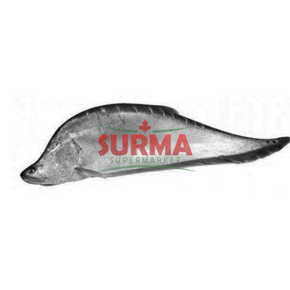 Chitto Fish Chitol Fish Whole – Surma Supermarket