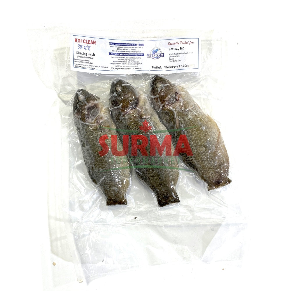 Frozen Koi Whole 500G Wholefish