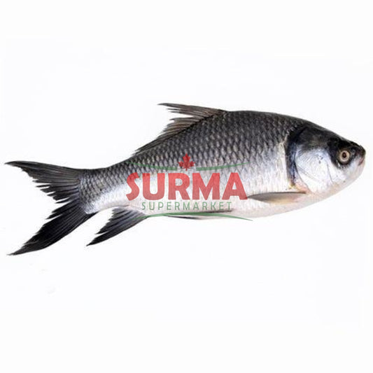 Rohu Fish Whole Frozen Wholefish